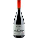 VINHO BAETTIG TINTO LOS PARIENTES PINOT NOIR 2022 750ML 13,5%