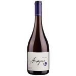 VINHO TINTO GARCES SILVA PINOT NOIR AMAYNA 2022 750 ML 13,5%