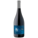 VINHO TINTO PINOT NOIR GARCES SILVA BOYA 750 ML 13,5% 2021