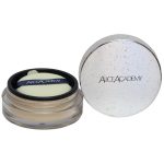 PO SOLTO TRANSLUCIDO ALICE ACADEMY POWDER TRANSLUCENT LP01 FAIR 10GR