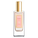 PERFUME DREAM BRAND COLLECTION FEMININO BRAND COLLECTION SORTE NO. 039 30ML EDP