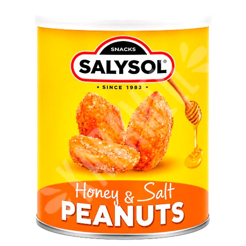 AMENDOINS SALYSOL HONEY E SALT LATA 50G