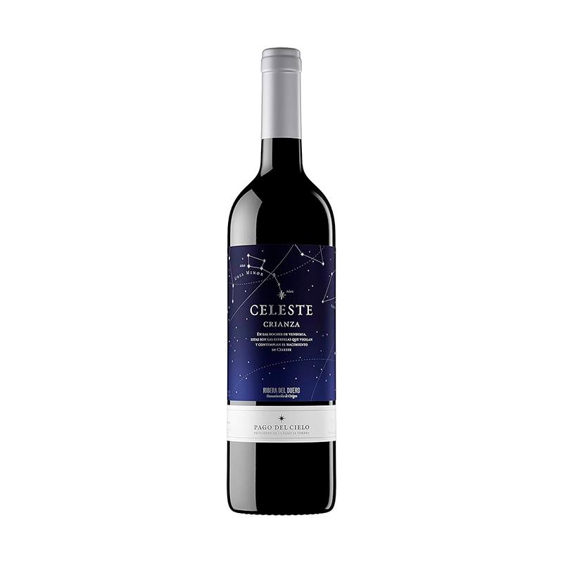 VINHO TINTO TORRES PAGOS DEL CIELO CRIANZA 2019 750ML 14.5%