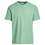 CAMISETA MASCULINA CALVIN KLEIN ADULTO MC MICRO LOGO INTERLOCKTSHIRT VERDE TAM S