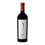 7798108253994 FAT6846 5711130 VINHO FINO TINTO PULENTA GRAN CORTE VII 1.5LT 2017 14,5% PULENTA