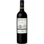 VINHO AMANCAYA DE BODEGAS CARO MALBEC CABERNET SAUVIGNON 2019 750ML. 14.5%