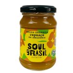 GELEIA ORGANICA SOUL BRASIL CUPUACU 200G