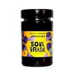 GELEIA ORGANICA SOUL BRASIL JABUTICABA