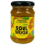 MINI GELEIA SOUL BRASIL CUPUACU 40G