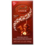 CHOCOLATE BARRA RECHEADO C/HAZELNUT LINDT 100G