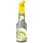 CONCENTRADO DE FRUTA MIXER MARGARITA MIX 1L