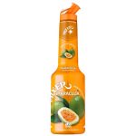 CONCENTRADO DE FRUTA MIXER MARACUJA PUREE MIX 1L